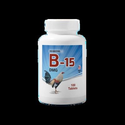B-15 DMG 100 tablets