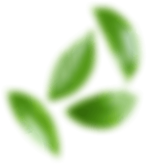 Decorative banner shape